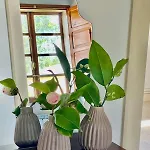 بيت للعطل Casa Bidueiros